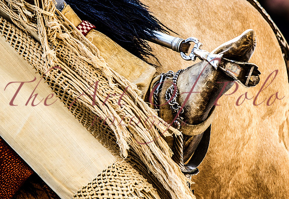 Gaucho Stirrup