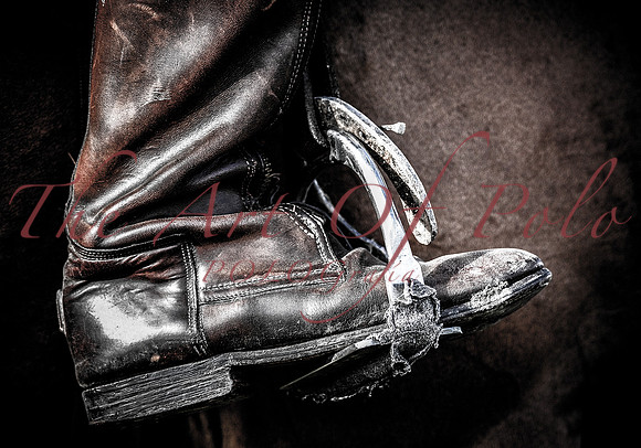 Boot & Shoe