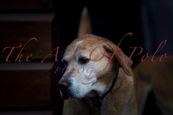 03_12_20_AOP_126