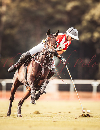 04_09_19_AOP_086