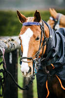 16_01_25_AOP_006