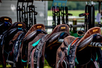 04_06_25 Queen's Cup : Ojo Caliente 9 vs Park Place 10 (extra chukker)
