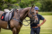 24_06_23_AOP_015