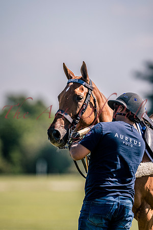 17_05_25_AOP_206