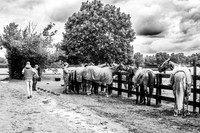 07_06_25_AOP_007