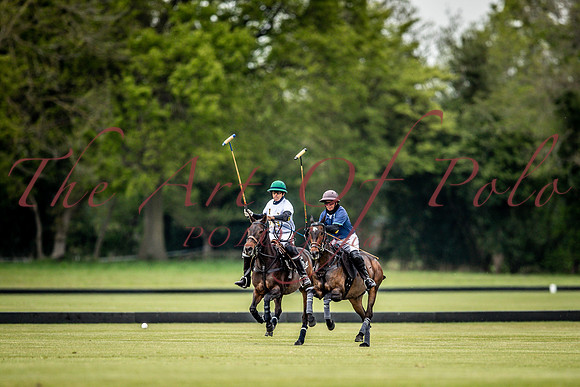 29_04_22_AOP_005