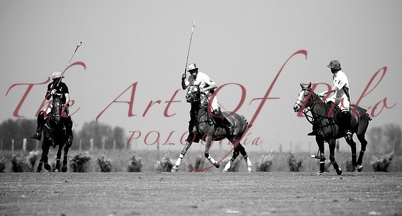 29.10.16.AOP 145