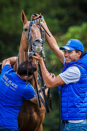 02_07_24_AOP_371