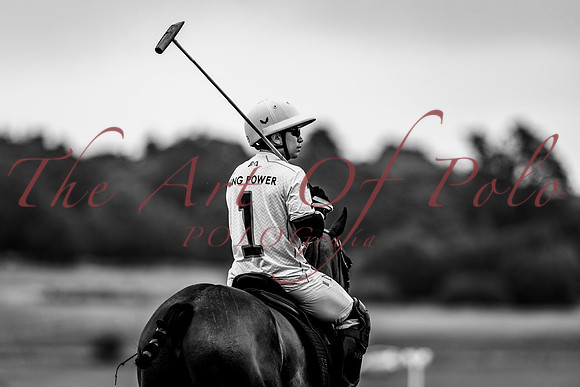 24_06_25_AOP_0510