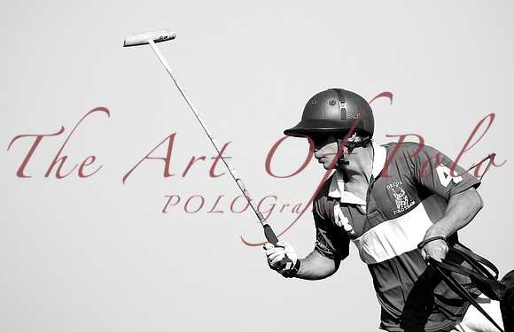 29.10.16.AOP 346