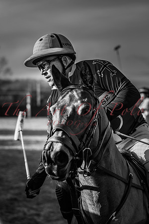 16_01_22_AOP_189
