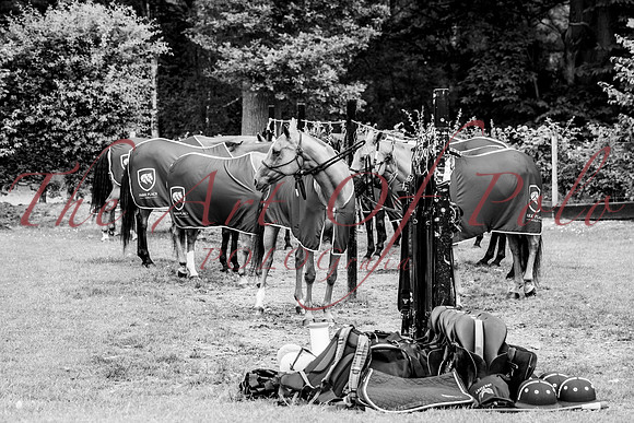 22_05_25_AOP_038