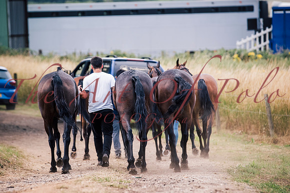 01_07_25_AOP_1046