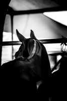 04_08_24_AOP_015