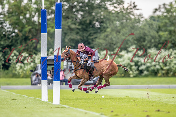 03_06_24_AOP_223