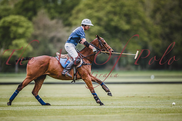 29_04_22_AOP_106