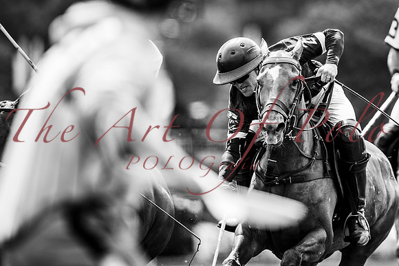 08_06_25_AOP_0431
