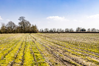 Long Horn Farm