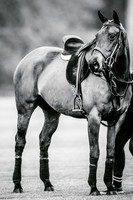 23_04_22_AOP_011